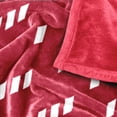 Logo Brands Joplin High School 60"x70" Super Plush Blanket