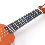 Mahalo MR1TBR Rainbow Series Soprano Ukulele, Transparent Brown