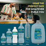 Zephyrhills 100% Natural Spring Water 16.9 fl. oz., 40 pk.