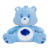 Weighted 3lb. Licensed Character Plush Pillow - Care Bear