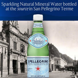 S.Pellegrino Sparkling Natural Mineral Water 16.9 fl. oz., 24 pk.