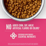 Member's Mark Sensitive Stomach Small Breed Chicken + Oatmeal Recipe Dry Dog Foo
