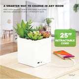 Tech Squared Power Bloom Charging Decorative Plant with Built-in retractable USB-C cable