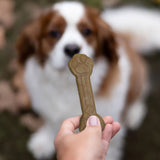 Member's Mark Dental Chew Treats for Dogs, 30 ct