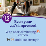 Fresh Step Odor Shield Multi Cat Clumping Litter, Febreze Fresh Scent, 42 lb