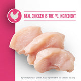 Member's Mark Sensitive Stomach Small Breed Chicken + Oatmeal Recipe Dry Dog Foo