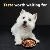 Cesar Classic Loaf in Sauce Wet Dog Food Variety Pack, 3.5 oz., 48 ct