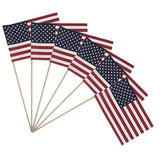 Patriotic Celebration American Flag Kit, 10 Pcs