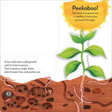 Pop-Up Peekaboo! Tree, Board Book