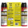 Raid Ant & Roach 17.5 oz Aerosol, 2pk with 8-Count Bait Mixed Pack