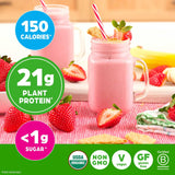 Orgain Organic Protein Powder Plant Based Strawberries &amp; Cream, 2.74 lbs.
