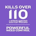 Member's Mark Southern Weed & Feed 12M