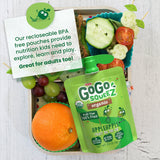 GoGo SqueeZ Organic Applesauce Pouches, Variety Pack, 3.2 oz., 24 ct.