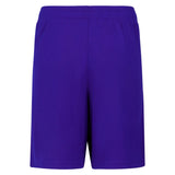 Under Armour Boys Tech Big Logo Shorts