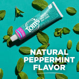 Tom's of Maine Fluoride-Free Antiplaque & Whitening Toothpaste, 4.5 oz., 4 pk.