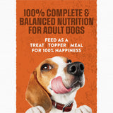 Purina Moist & Meaty Burger with Cheddar Cheese Flavor, Adult Dog Food, 6 oz., 60 ct