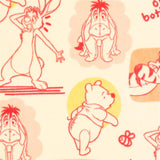 Liscensed Character Pillow and Throw Blanket Set