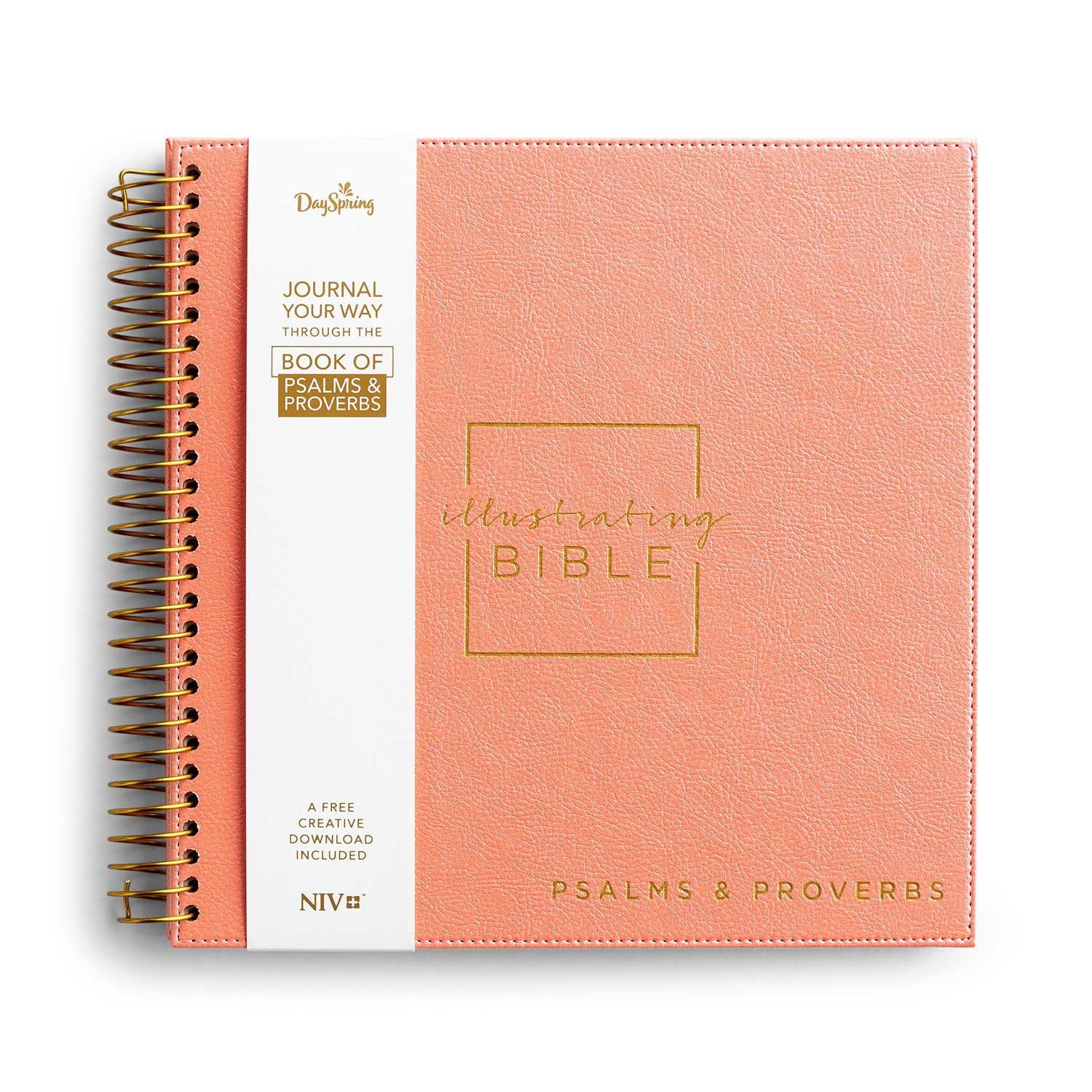 NIV Illustrating Bible: Psalms and Proverbs, Spiral Bound