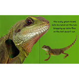 Touch and Feel Box Set, Board Books
