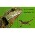 Touch and Feel Box Set, Board Books
