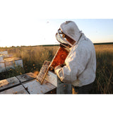 Local Hive Florida Raw and Unfiltered Honey - 40 oz