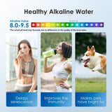 Waterdrop pH+ 40-Cup Alkaline Water Filter Dispenser WD-WFD-40L-A