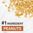 KIND Max Crispy Protein Bars, Chocolate Peanut Butter, 14 ct.