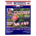 Patriotic Celebration American Flag Kit, 10 Pcs