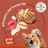 Purina Friskies Wet Cat Food Gravy Pleasers Variety Pack with Fully Load’d, Meaty Bits, and Prime Filets, 60 ct., 5.5 oz. Cans