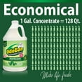 OdoBan Odor Eliminator and Disinfectant Concentrate, 4 pk., Choose Scent