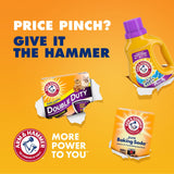 Arm &amp; Hammer Pure Baking Soda, 13.5 lbs.