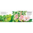 Pop-Up Peekaboo! Tree, Board Book