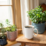 Cameron's Organic Light Roast Whole Bean Coffee, Woods &amp; Water 64 oz.