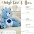Weighted 3lb. Licensed Character Plush Pillow