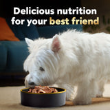 Cesar Classic Loaf in Sauce Wet Dog Food Variety Pack, 3.5 oz., 48 ct