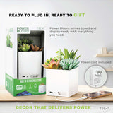 Tech Squared Power Bloom Charging Decorative Plant with Built-in retractable USB-C cable