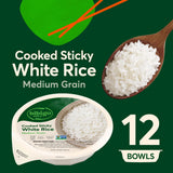 Bibigo Cooked Sticky White Rice, 88.80 oz., 12 PK