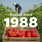 Hunt's Fire Roasted Diced Tomatoes, 14.5 oz., 8 pk.