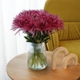 Member's Mark Spider Mums, choose color and stem count