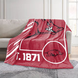 Logo Brands Arkansas Razorbacks 60"x70" Super Plush Blanket