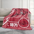Logo Brands Arkansas Razorbacks 60"x70" Super Plush Blanket