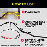 Raid Ant & Roach 17.5 oz Aerosol, 2pk with 8-Count Bait Mixed Pack