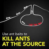 Raid Ant & Roach 17.5 oz Aerosol, 2pk with 8-Count Bait Mixed Pack