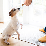 Arm & Hammer, Chicken Flavored Nubbies Dental Treats for Dogs, 139 ct.