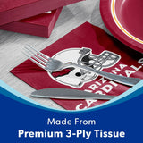 NFL Paper Plates & Napkins Kit, 285 ct., Choose Team