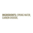 Saratoga Sparkling Spring Water 16 fl. oz., 24 pk.