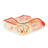 Liscensed Character Pillow and Throw Blanket Set