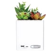 Tech Squared Power Bloom Charging Decorative Plant with Built-in retractable USB-C cable