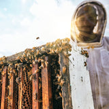 Local Hive New Mexico Honey, 40 oz.