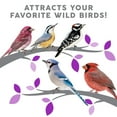 Harvest Seed & Supply Birder's Medley Wild Bird Food, Premium Mix of Bird Seed, 20 lbs.
